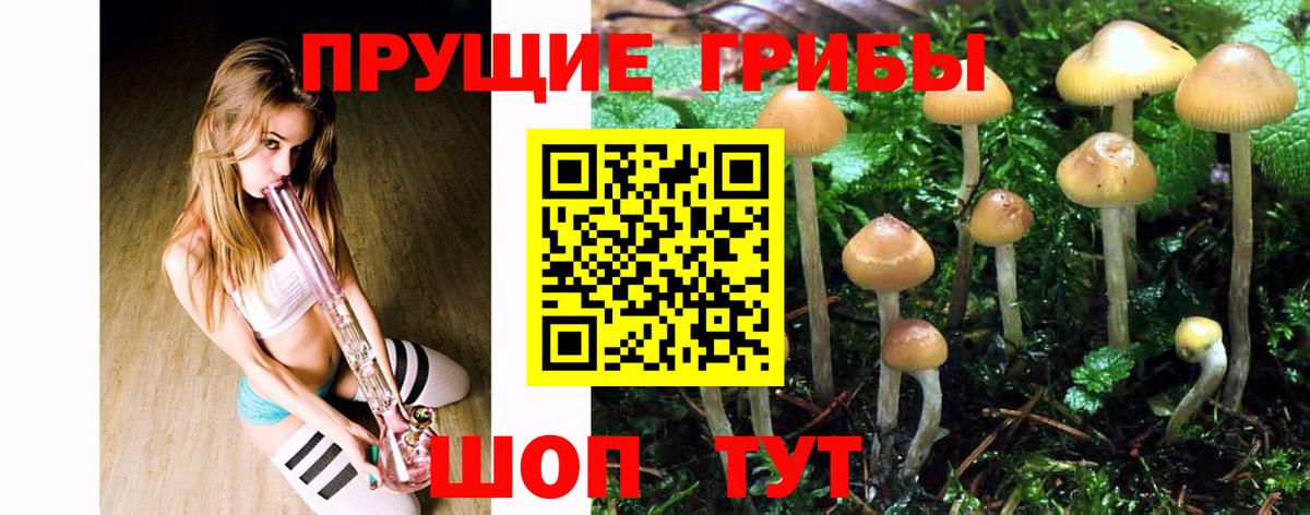 Галлюциногенные грибы Psilocybe  Вход с VPN  Псилоцибиновые грибы Psilocybe  Новотроицк 